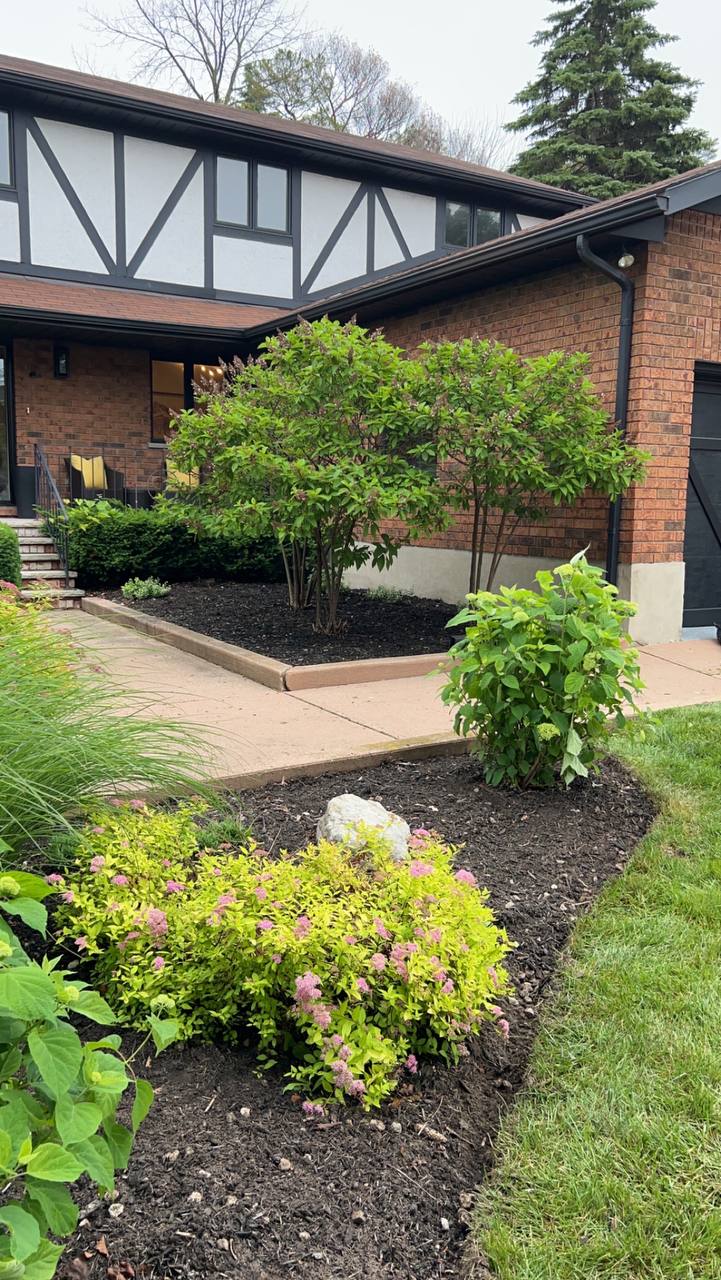Foundation garden bed with shrubs and dark mulch